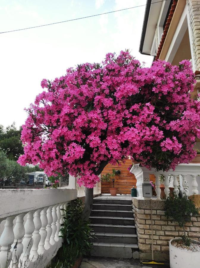 Apartments And Rooms Bozena Водице Экстерьер фото